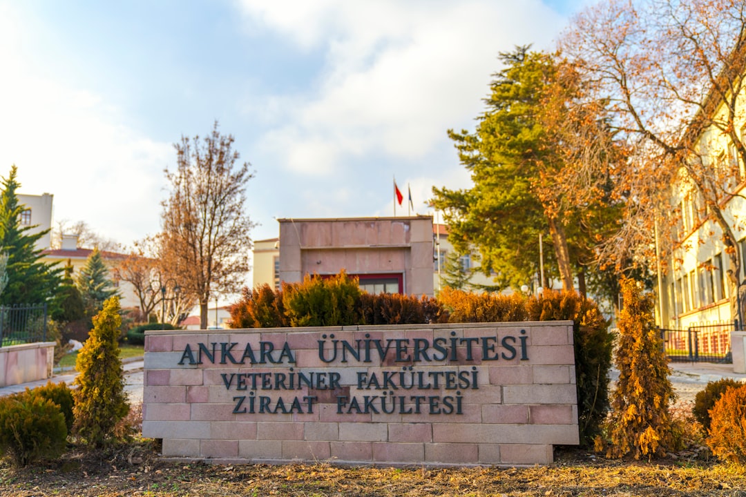 Ankara'da MEB Onaylı Kurs Seçenekleri: Fırsatları Kaçırmayın