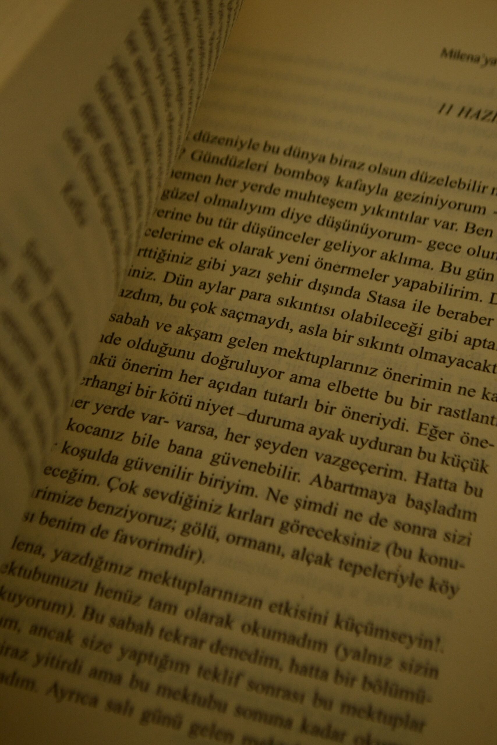 diksiyon diksiyon