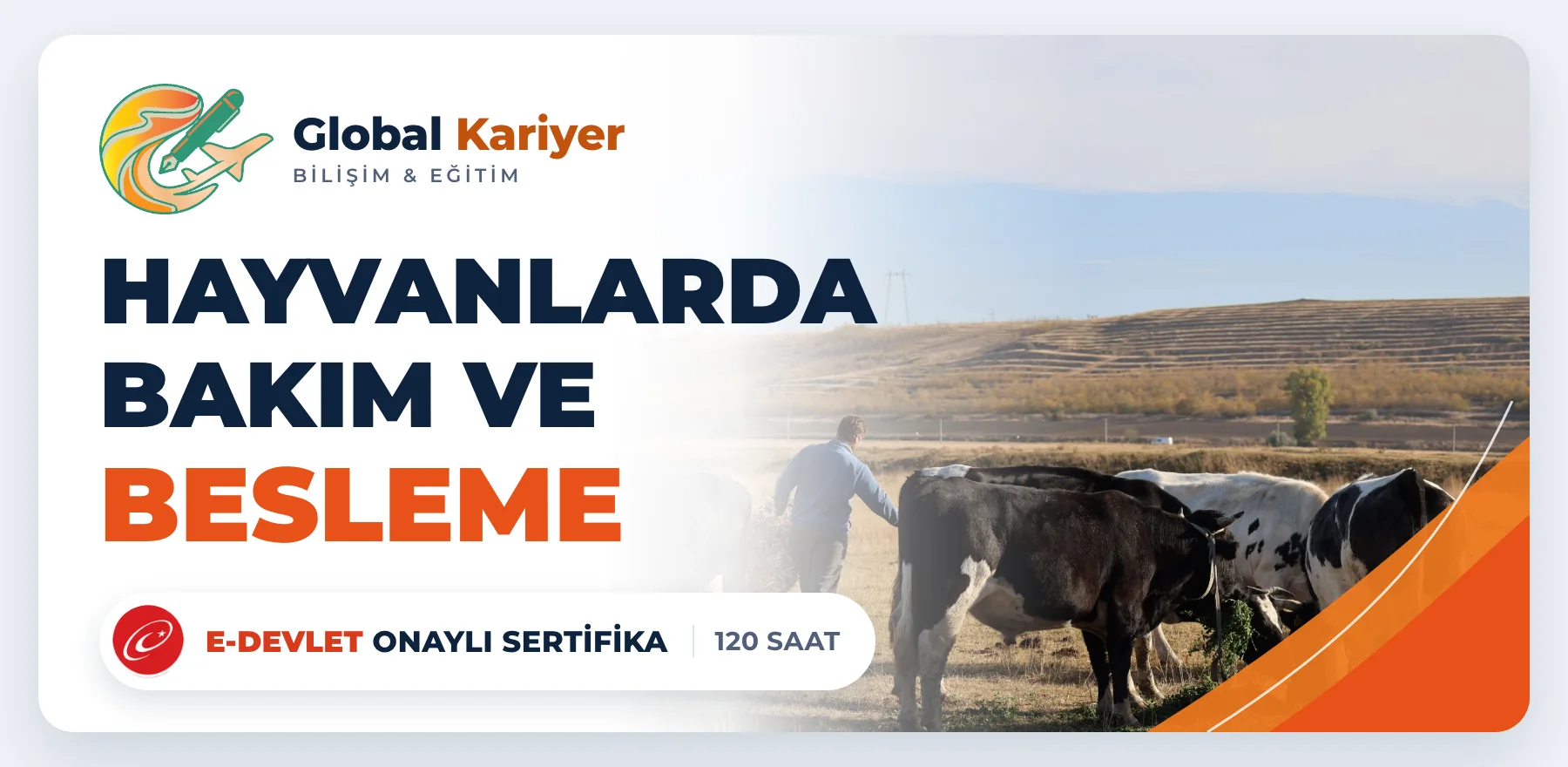 Hayvanlarda Bakım ve Besleme — e-Devlet onaylı sertifika programı