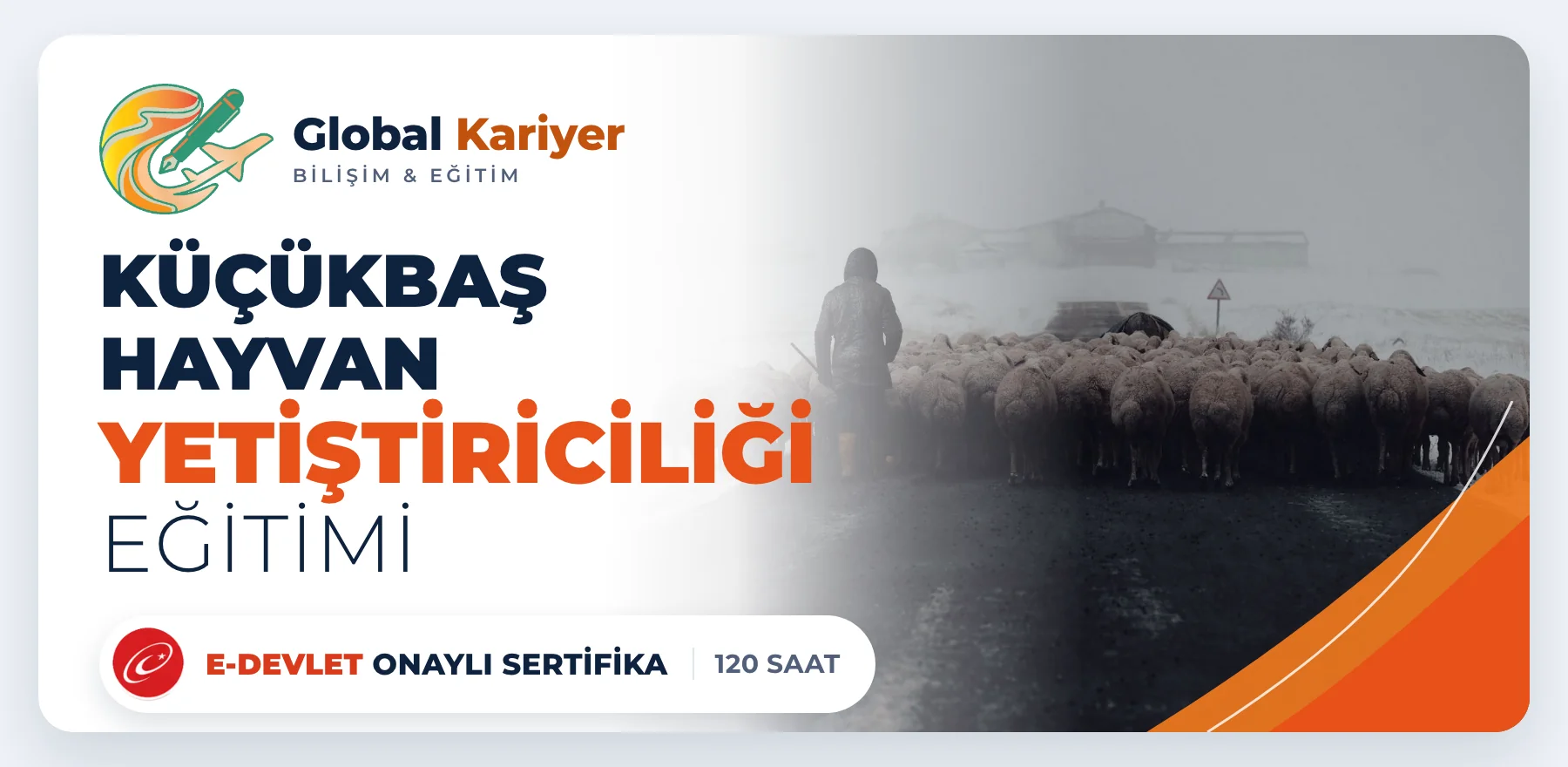 Küçükbaş Hayvan Yetiştiriciliği Eğitimi — e-Devlet onaylı sertifika programı