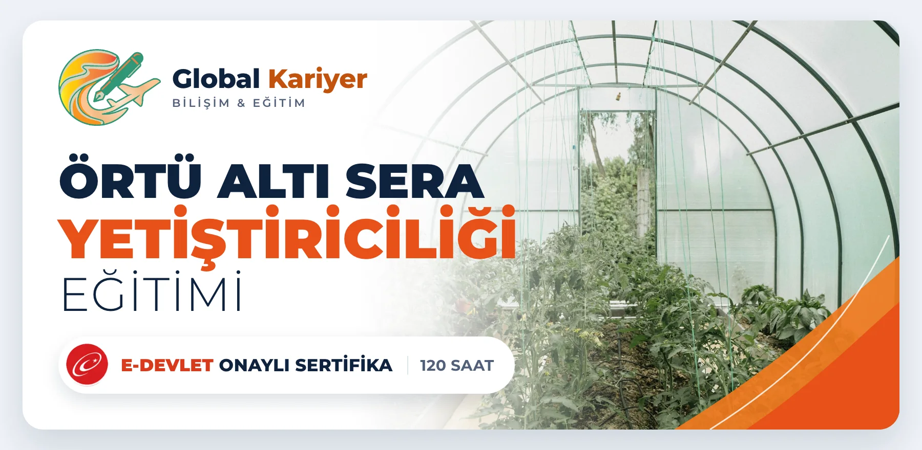 Örtü Altı Sera Yetiştiriciliği Eğitimi — e-Devlet onaylı sertifika programı