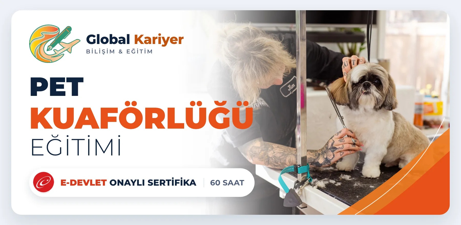 Pet Kuaförlüğü Eğitimi — e-Devlet onaylı sertifika programı