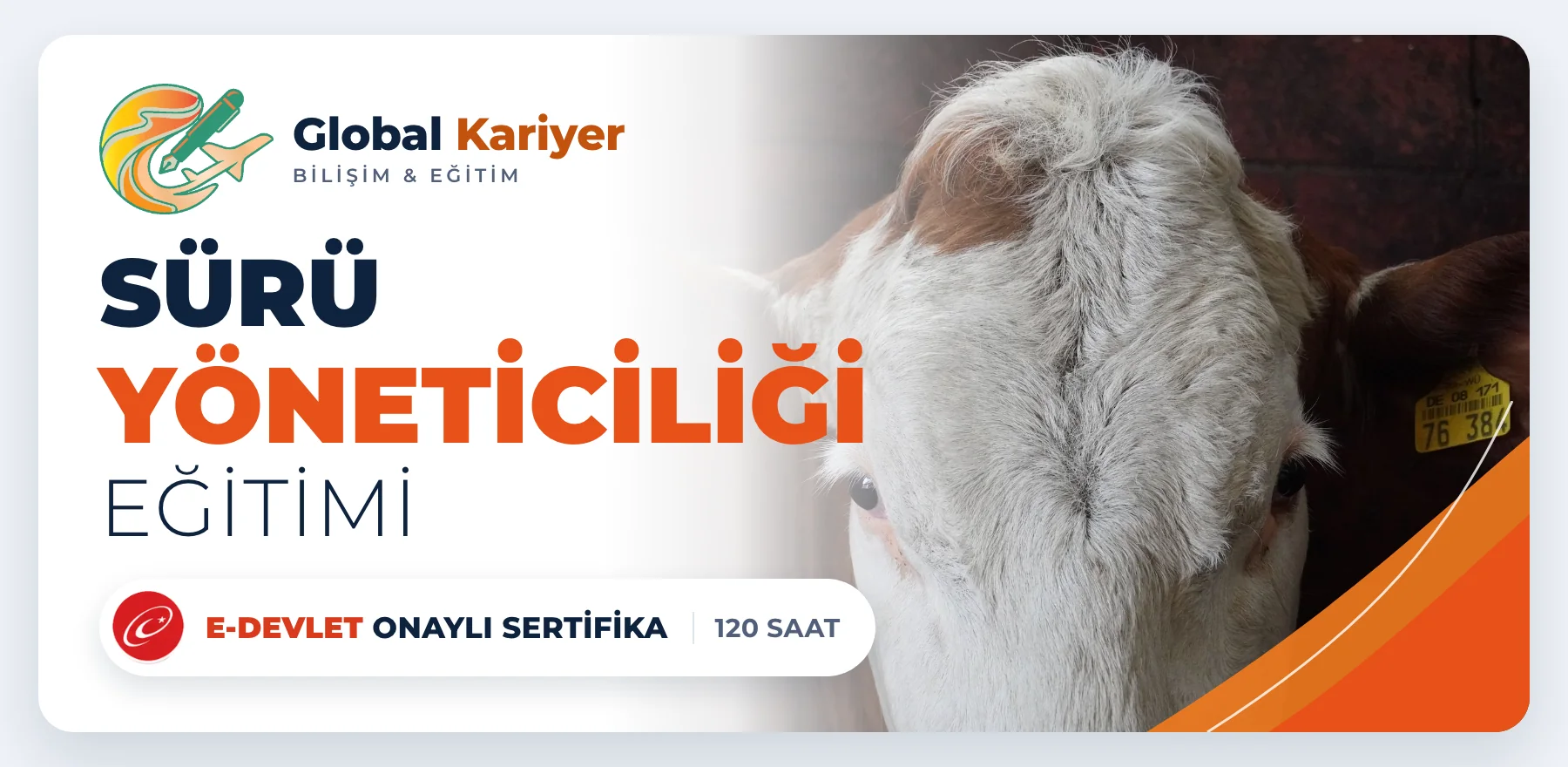 Sürü Yöneticiliği Eğitimi — e-Devlet onaylı sertifika programı