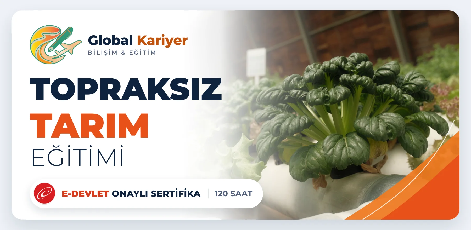 Topraksız Tarım Eğitimi — e-Devlet onaylı sertifika programı